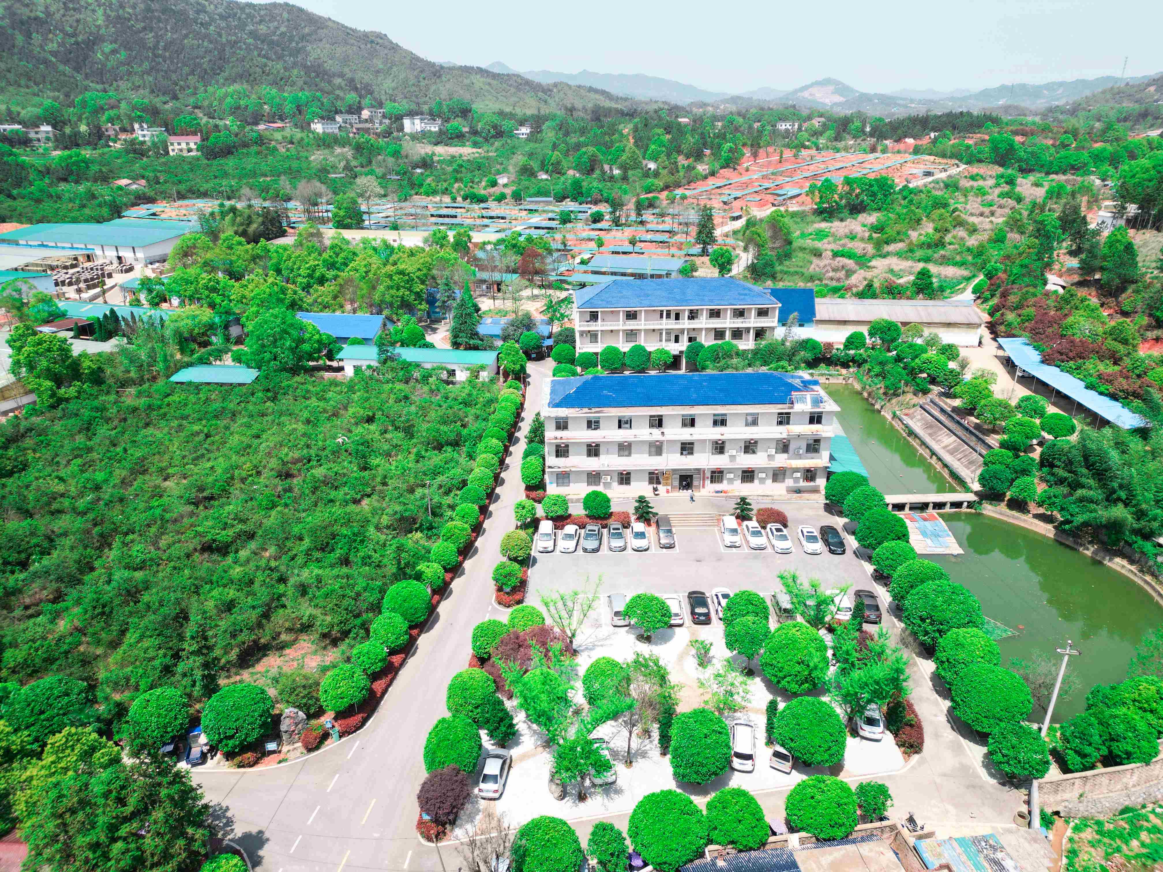 DJI_0122.jpg